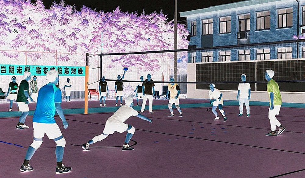 Giải vô địch bóng chuyền nam châu Á 2026: Nhật Bản và cuộc đua giành vé dự Olympic 2028